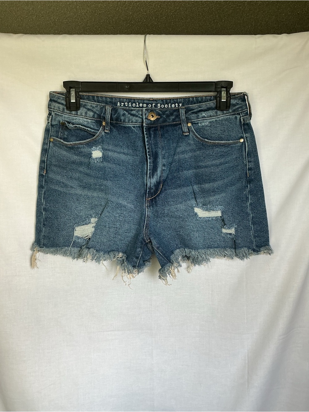 Articles Of Society Distressed Frayed Hem Denim Shorts - Blue